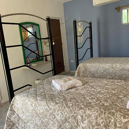 Casa Centro 70 Otel Mérida Dış mekan fotoğraf