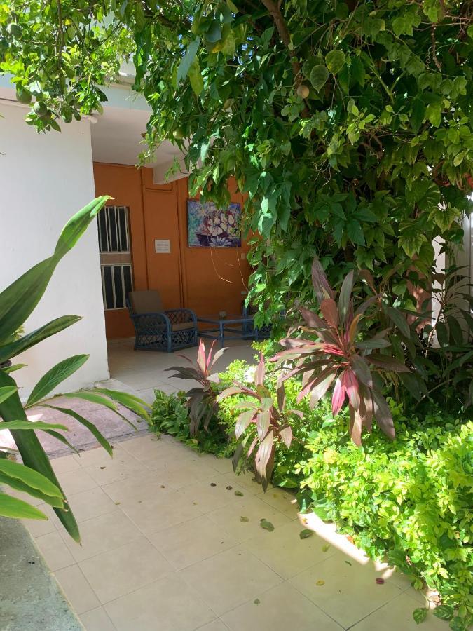 Casa Centro 70 Otel Mérida Dış mekan fotoğraf